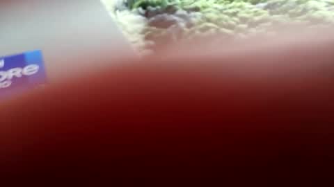 Ruskinni online show from April 19, 11:55 am