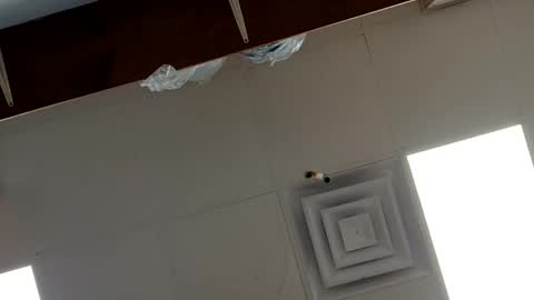 ryder393 online show from October 31, 6:52 pm