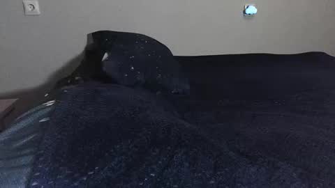 pluto online show from February 17, 10:49 pm