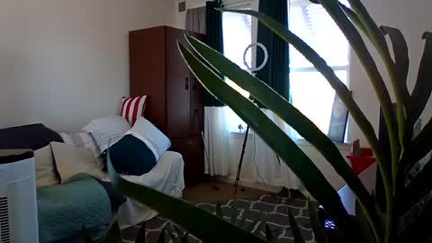 salis1981 online show from March 3, 5:41 pm