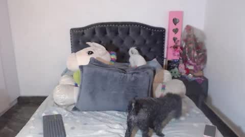 yenny online show from January 6, 3:21 am