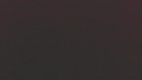 Samara Warren online show from November 22, 11:52 am