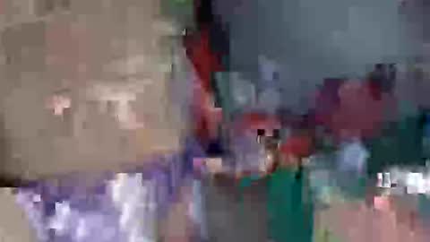 sameroptike67 online show from January 17, 5:39 am