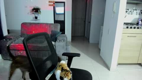 SARA online show from September 13, 1:52 am