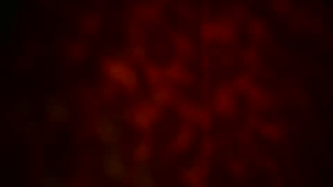 samueltal online show from October 27, 10:10 pm