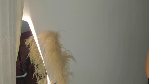 Hello I am absent due to a family calamity I will return soon-hola estoy ausente por un problema familiar volvere pronto. online show from February 19, 11:25 pm