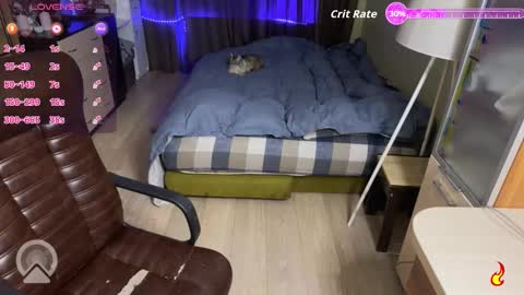 sandra dimonds online show from January 8, 6:03 pm