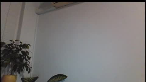 sasko877 online show from November 5, 2:24 am