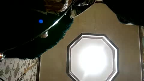 Princess online show from January 25, 4:35 pm