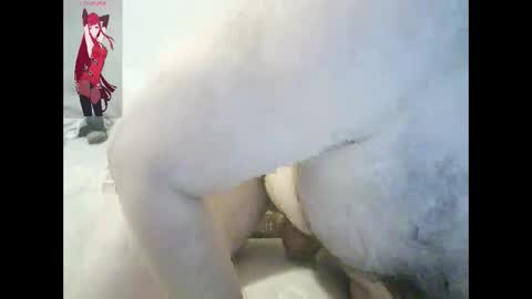 ArcAngel online show from April 2, 6:26 pm