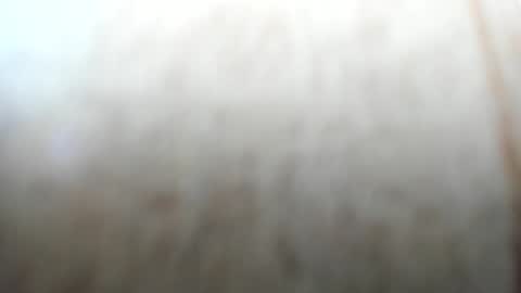 Snapshot of sayo_mao18 chatting on September 24, 1:45 am sayo_mao18 online show from September 24, 1:45 am