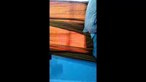 sayuce black online show from December 21, 4:35 pm