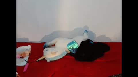 Scarletfox Fox online show from March 6, 2:54 am