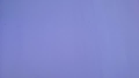  Scarlett  online show from April 23, 1:35 pm