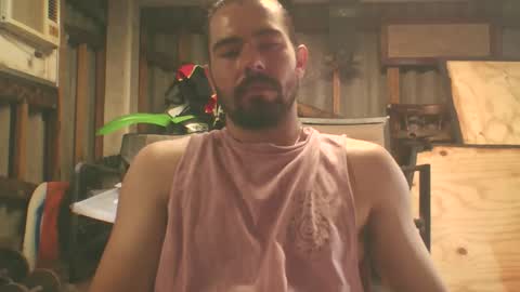 scincere369 online show from February 28, 6:50 am