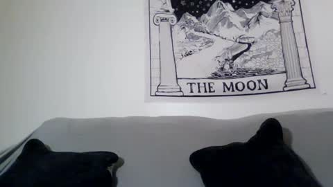 seitans curse666 online show from April 29, 6:29 am