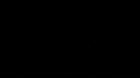 Ami online show from November 26, 9:06 am