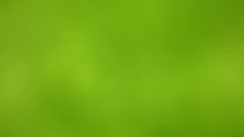 sens3439 online show from November 24, 8:35 am