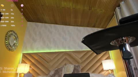 Sharon Mishel  online show from February 17, 6:39 pm