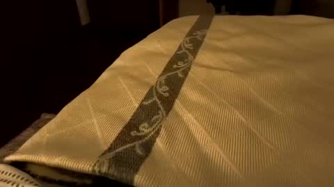 sevenorder online show from January 21, 6:43 am