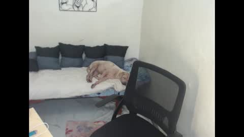 SexCumMachineTs online show from November 8, 8:12 pm