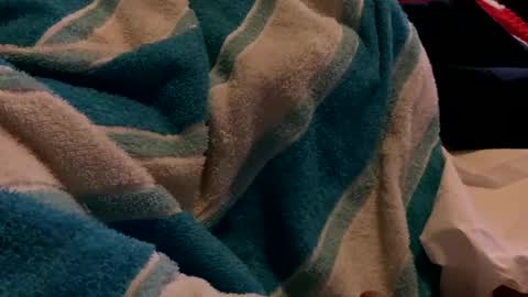 Sexplorer54321 online show from February 3, 1:30 am