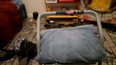 Cayden online show from January 23, 11:58 am