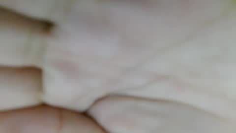 jasmin online show from February 3, 3:38 pm