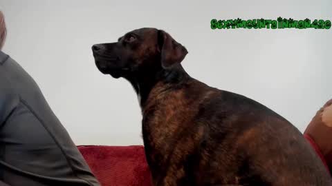 Sexymountainman420 online show from March 21, 9:30 pm