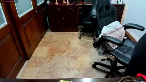 R A C H E L online show from November 24, 12:15 pm