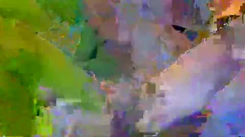 sexysavagecouple530 online show from April 23, 1:57 am