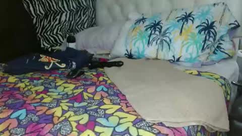 sharlot03 online show from February 6, 10:25 am