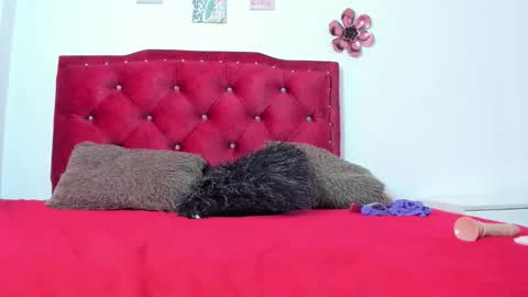 sharlotsh online show from November 11, 7:38 pm