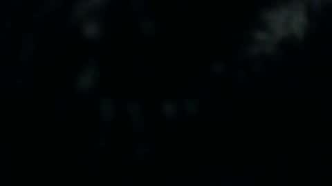 Snapshot of silkeyoz chatting on December 10, 1:22 pm Silkey online show from December 10, 1:22 pm