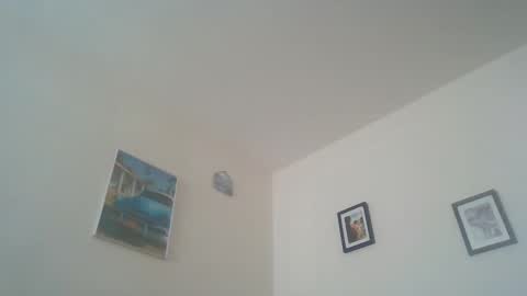 silvie dwt  slut online show from April 15, 11:24 am