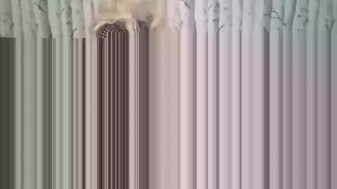 simontupin1973 online show from December 17, 1:34 am