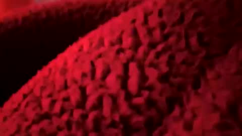 Santy online show from December 4, 1:55 pm