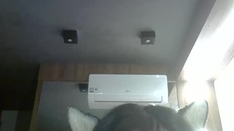 skinnykittencam online show from April 21, 9:22 pm