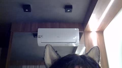 skinnykittencam online show from February 23, 6:59 am