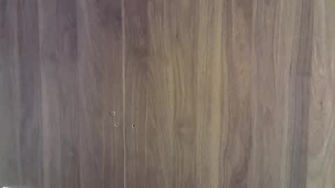 skinnykittencam online show from October 31, 1:06 am