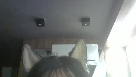 skinnykittencam online show from April 19, 6:54 pm