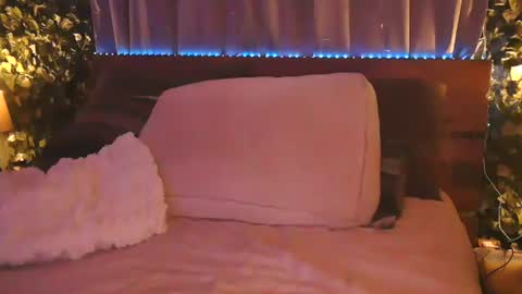 skyonetoo3 online show from November 11, 2:14 am