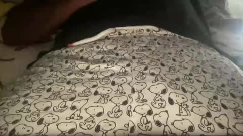 Daddy online show from November 17, 11:51 pm