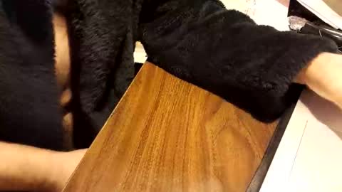 watchmecum online show from February 1, 3:20 pm