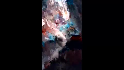 snqhephncxpu online show from February 17, 11:42 am