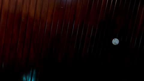 leidy online show from December 24, 4:51 pm