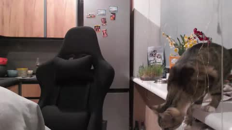 Sofi online show from April 19, 5:47 pm