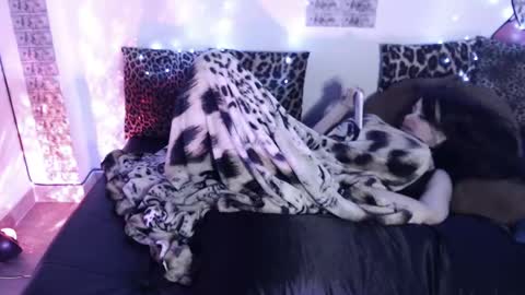 Snapshot of sofianix chatting on January 22, 4:44 pm SOFIA NIX online show from January 22, 4:44 pm