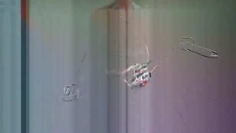 solilay online show from February 19, 4:39 pm