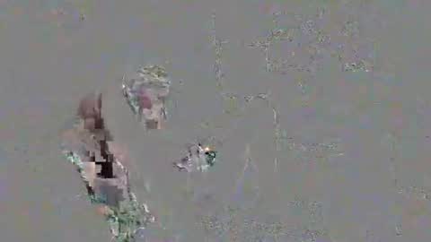 solisaniy online show from March 29, 2:30 pm